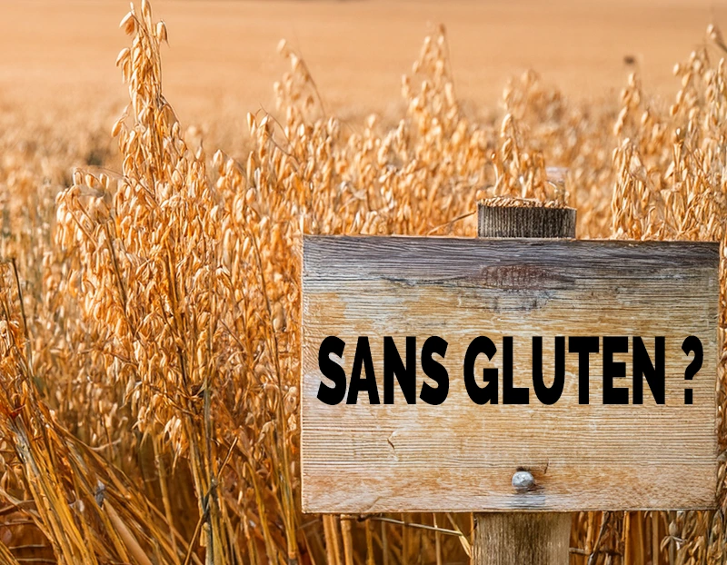 Avoine et gluten