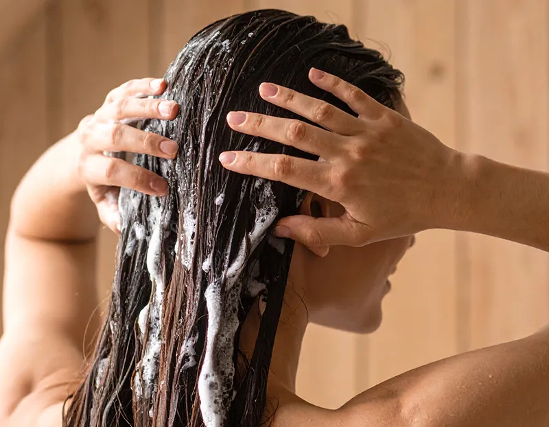 shampoing au lait d'avoine