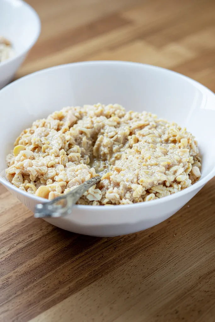 Chicken Oatmeal Porridge